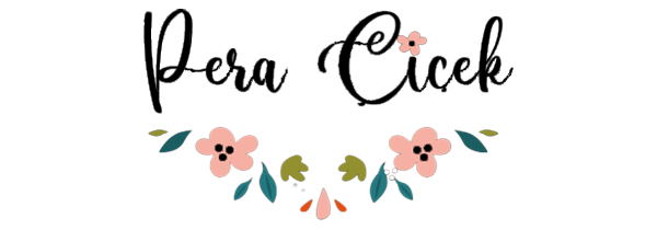 Beyoğlu Avukat - Kelebek Hukuk & Danışmanlık Bürosu İş Ortağı